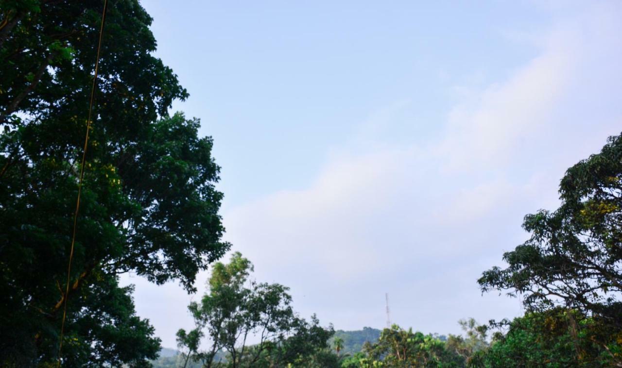 Ceylon Saradiel Home Stay Mawanella Kültér fotó