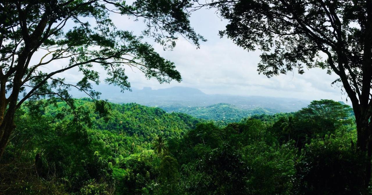 Ceylon Saradiel Home Stay Mawanella Kültér fotó