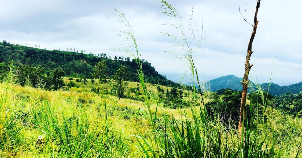 Ceylon Saradiel Home Stay Mawanella Kültér fotó